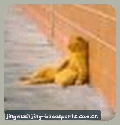马超